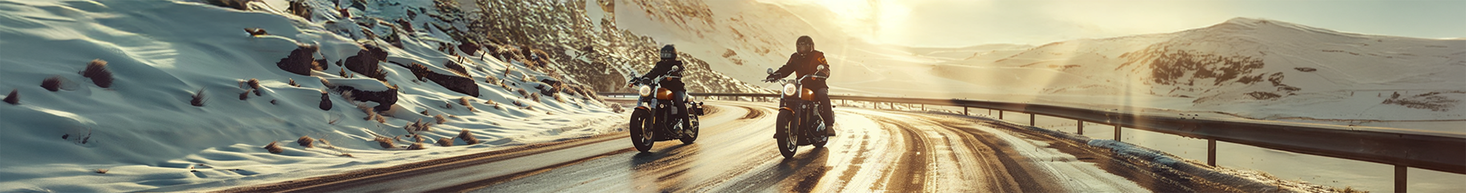Motorradhandschuhe